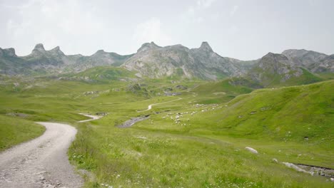 col du pourtalet pass and border in the pyrenees between france and spain with distant view of sheep herd grazing on green pasture