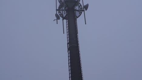 Panorámica-De-Cámara-Vertical-Lenta-En-Una-Torre-De-Radio-Alta-En-El-Bosque-En-Otoño-Con-Niebla-Y-Lluvia