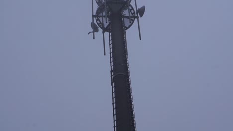 panorámica de cámara vertical lenta en una torre de radio alta en el bosque en otoño con niebla y lluvia