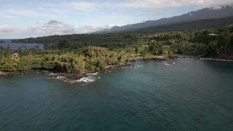 aerial of maui tropical coastline in hawaii, green vegetation landscape