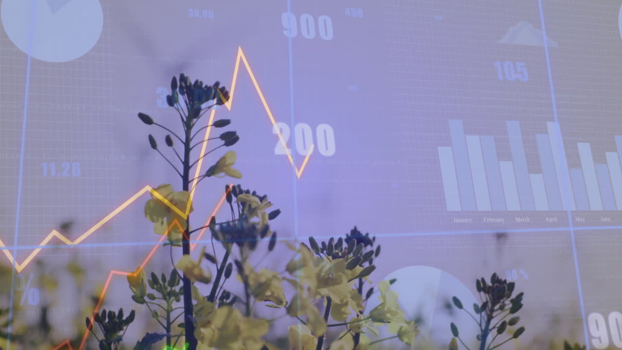 Graph and data animation over blooming flowers in natural setting