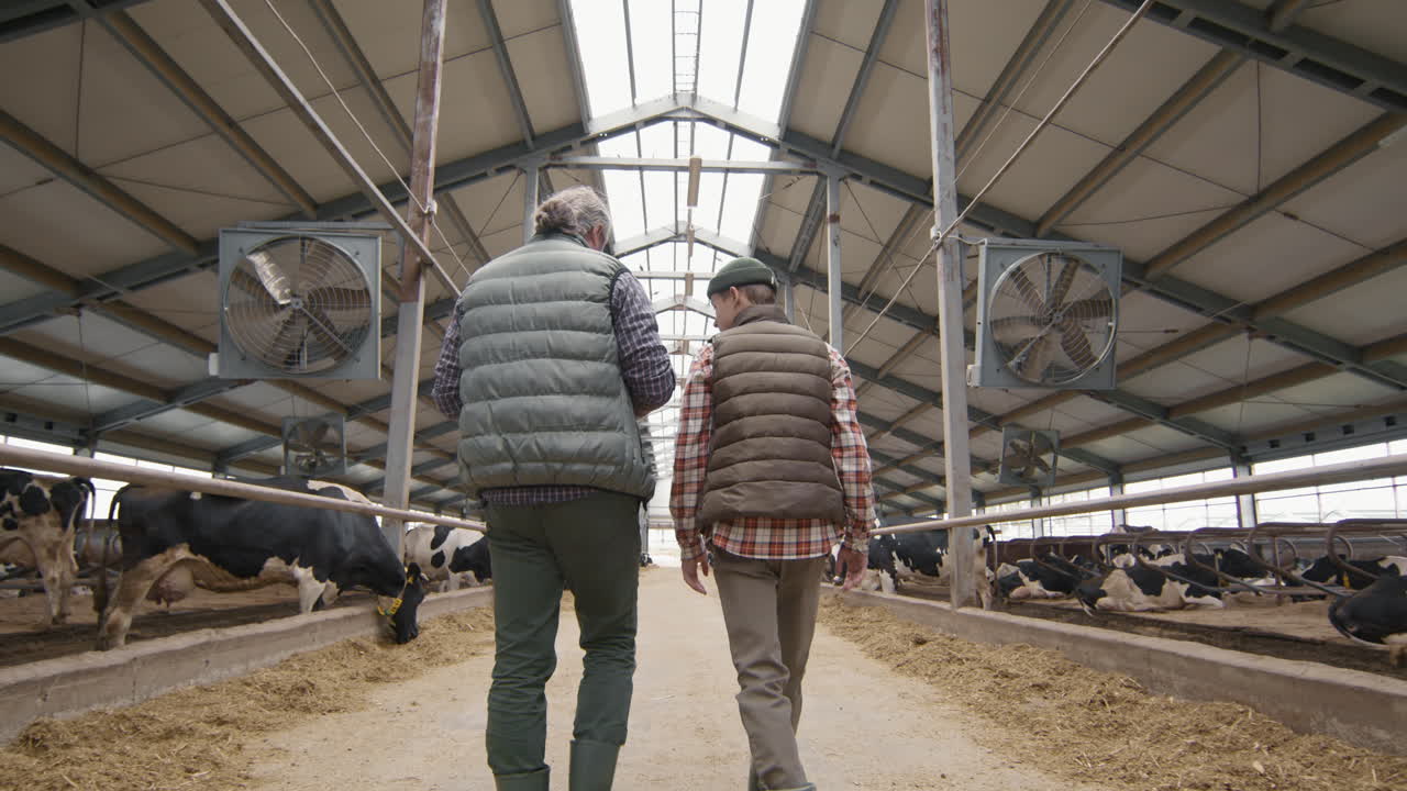 Man and Teenage Boy Walking through Dairy Farm
