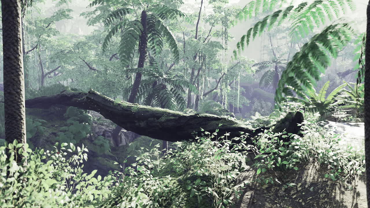 Lush green jungle landscape with dense vegetation and a fallen tree