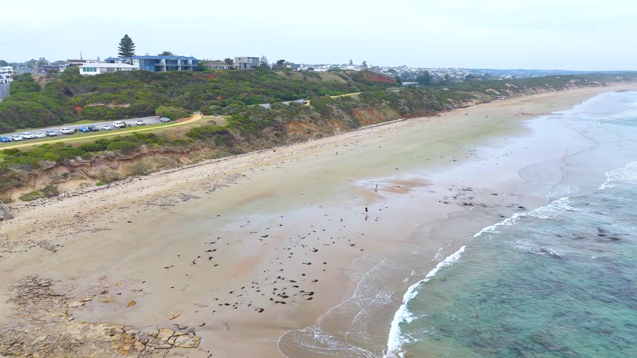 Aerial footage captures Ocean Grove's expansive beach, showcasing waves, shoreline, and coastal homes under soft daylight