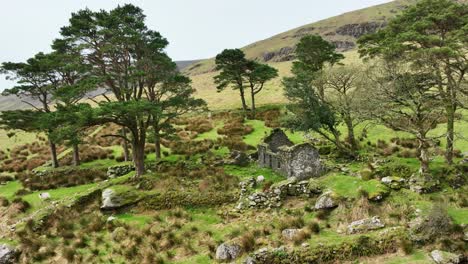 Waterford-Comeragh-Montañas-Ovejas-Pastando-En-El-Jardín-De-La-Cabaña-En-Ruinas-Mañana-De-Primavera