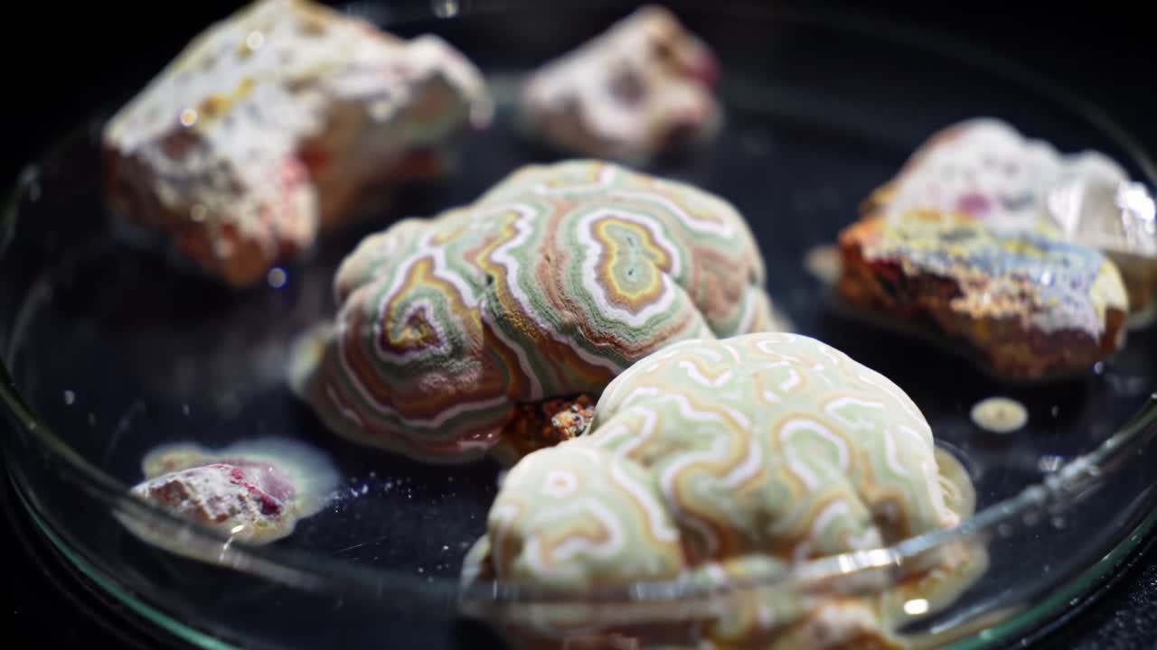 Water Interaction With Colorful Rocks Creates Mesmerizing Patterns in a Clear Dish at Indoor Location