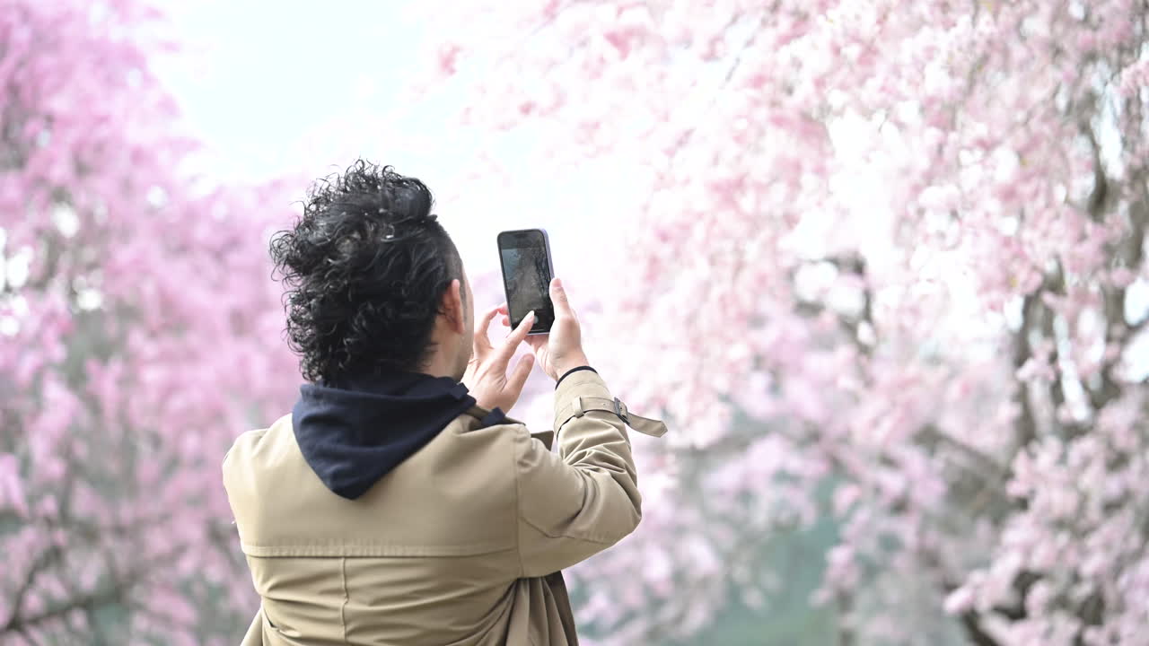 ผู้ชายถ่ายภาพดอกซากุระด้วยสมาร์ทโฟนในฤดูใบไม้ผลิ