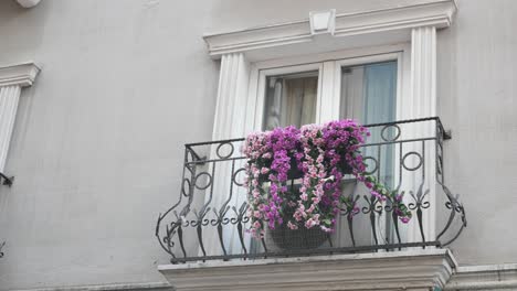 balcón adornado con flores púrpuras