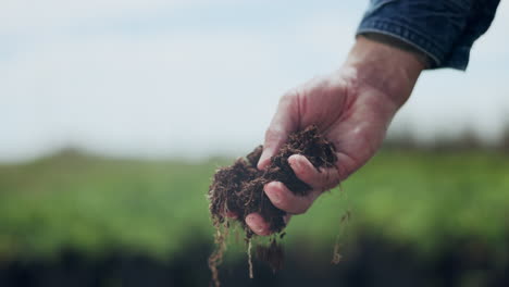 farmer inspecting soil