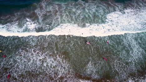 aerial-overhead-view-of-surfers-in-the-ocean,-riding-and-waiting-for-waves