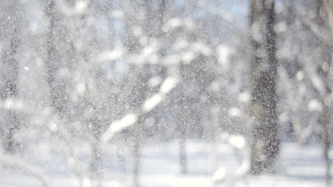 눈이 내리는 겨울의 풍경: 슈퍼 슬로 모션에서 추상적인 겨울 크리스마스 배경