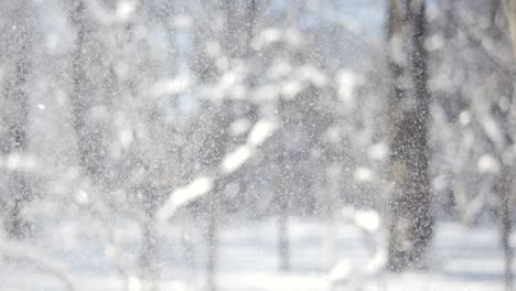 paisaje de invierno durante las nevadas. fondo abstracto de navidad de invierno en súper cámara lenta.