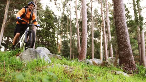 Ciclista-De-Montaña-Masculino-Montando-En-El-Bosque