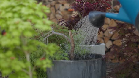 person watering plants on pot in the garden using watering can