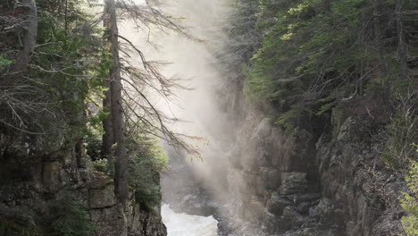 misty light rays shine through the trees over a river canyon