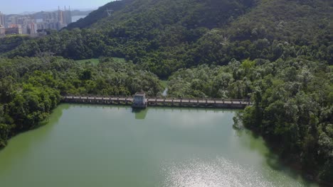 filmación de drones cinematográficos volando sobre una presa durante el día en un bosque
