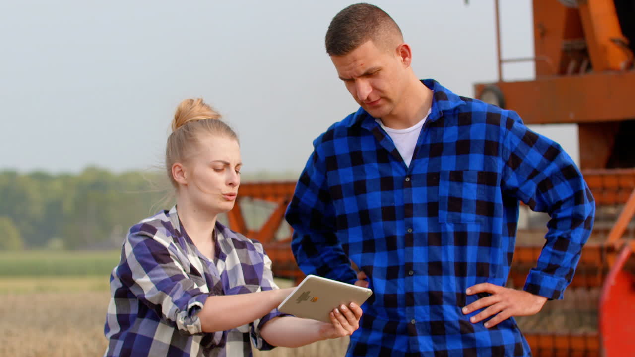 agricultura, mujeres y hombres, agricultores hablando en el campo de trigo durante la cosecha 4