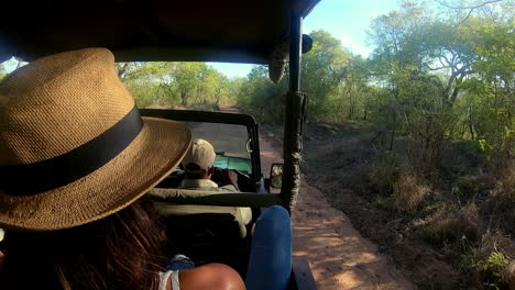 through the game reserve