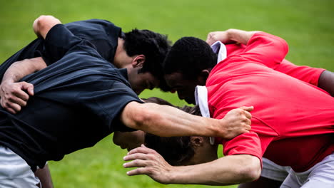 animation of diverse male rugby players at stadium