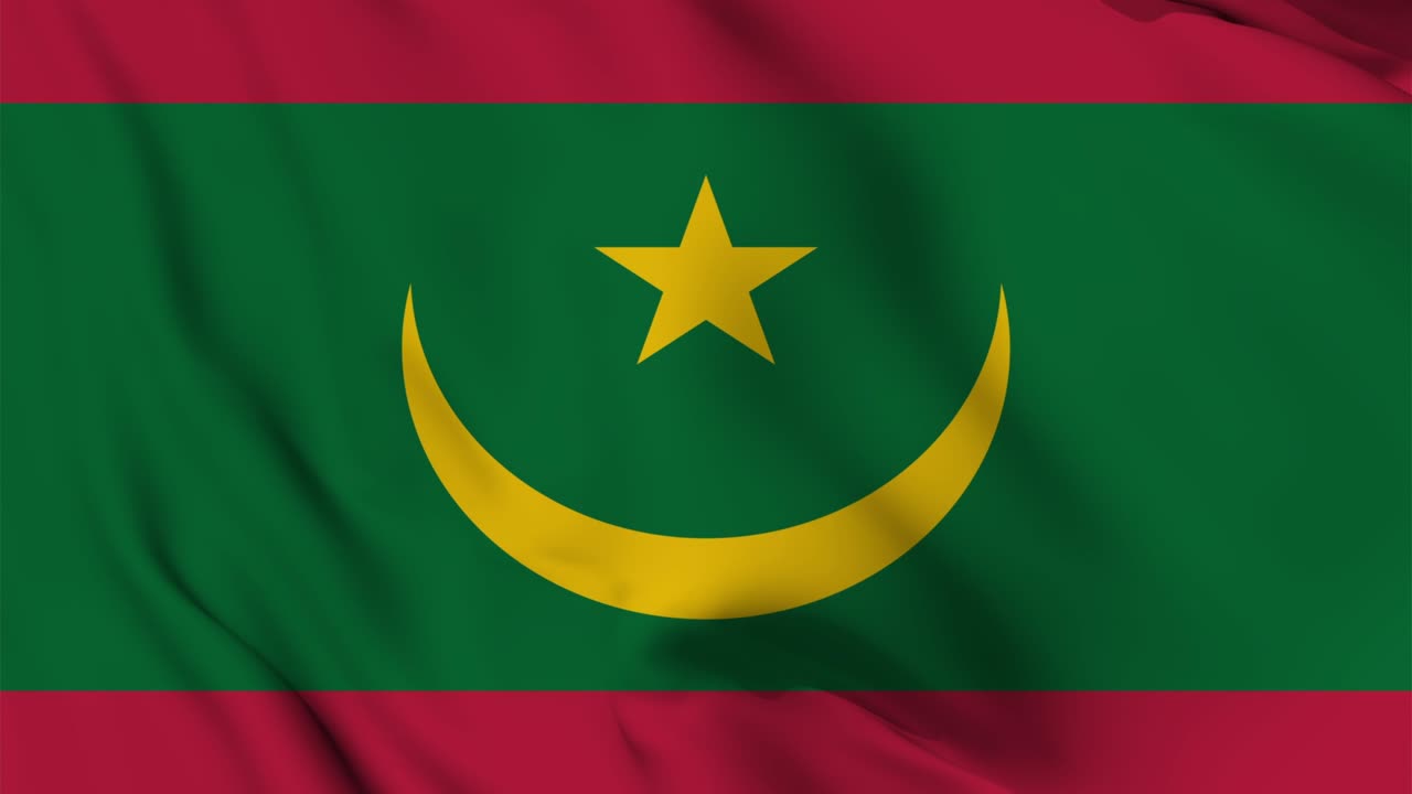 마우리타니아 발의 질없는 흔들림 애니메이션