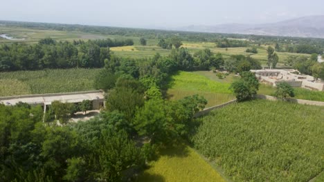 an aerial view over the lush green farmland