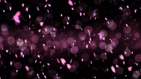 coloridos pétalos brillantes balanceándose en el fondo de la primavera con llamaradas solares. hermosa escena de la naturaleza. ilustración pétalos de cereza en flor. gráfico abstracto de primavera. animación de bucle.