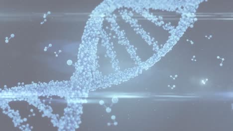 animación de una cadena de adn 3d giratoria, con luces y estructuras moleculares flotantes, en gris