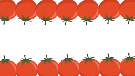 Animation-of-multiple-tomato-icons-on-white-background