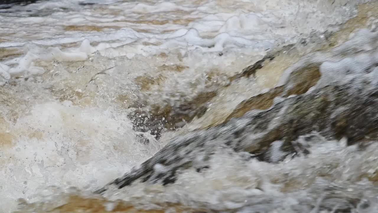 큰 야생 대서양 연어가 폭포를 점프하는 클로즈업 영상 - 슬로우 모션 트라이 ⁇   ⁇