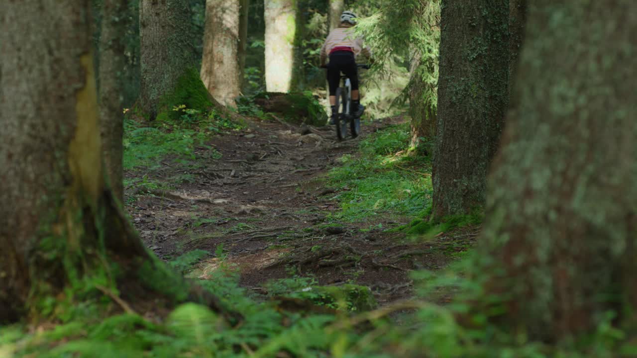 un ciclista de montaña recorre un bosque protegido