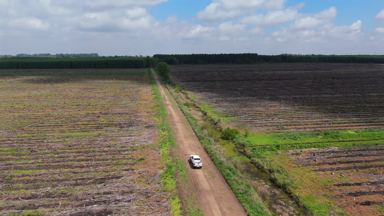 Dirt road cutting through a vast deforestation farmland landscape with a moving white van.