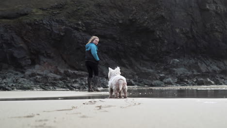 a white terrier dog following its owner while enjoying the morning coastal walk - medium shot