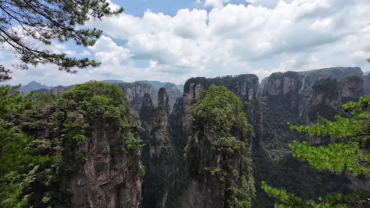 Pan right revealing towering sandstone pillars covered in green foliage on a sunny day in Zhangjiajie