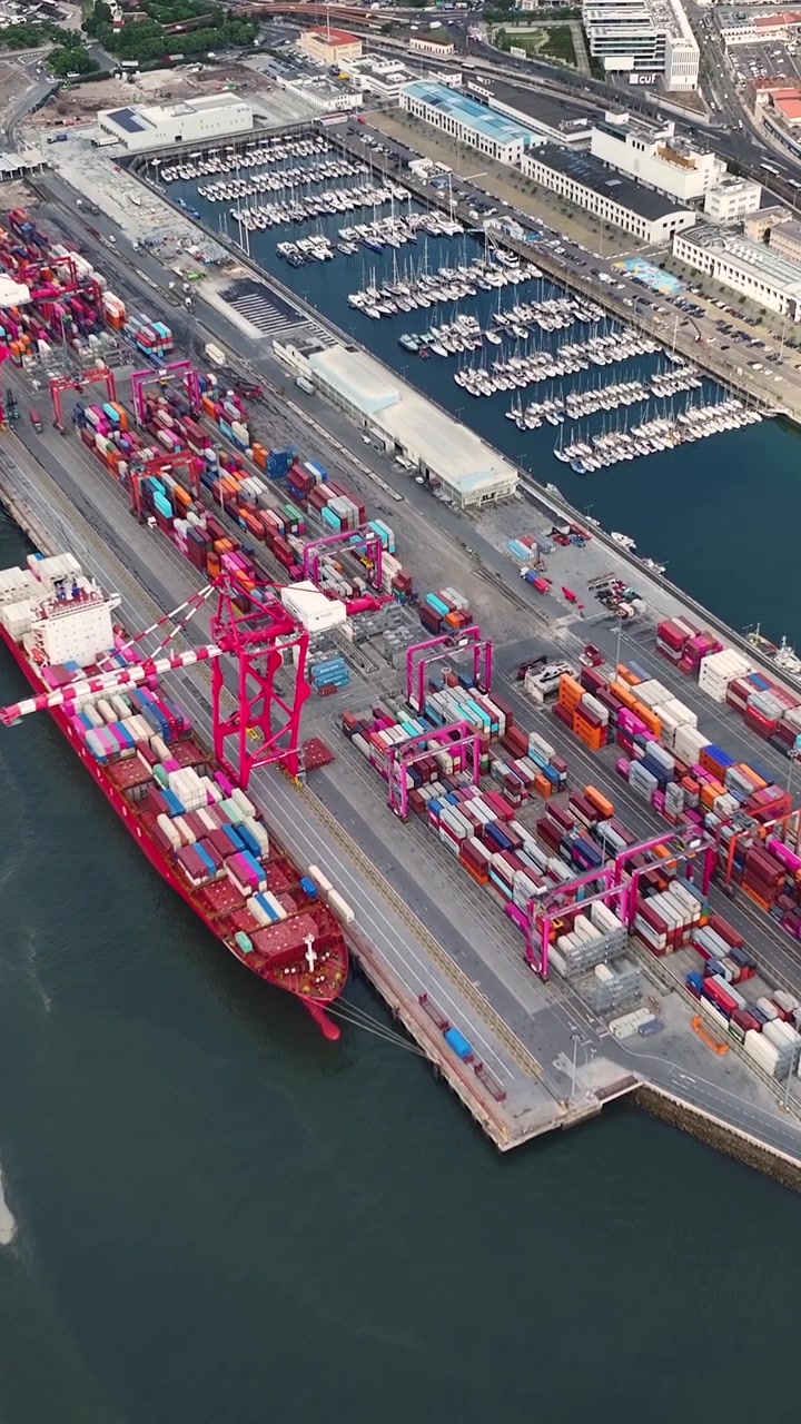 Container terminal displays various cargo ships and shipping containers. The activity captures the flow of international trade as goods move in and out of the facility.