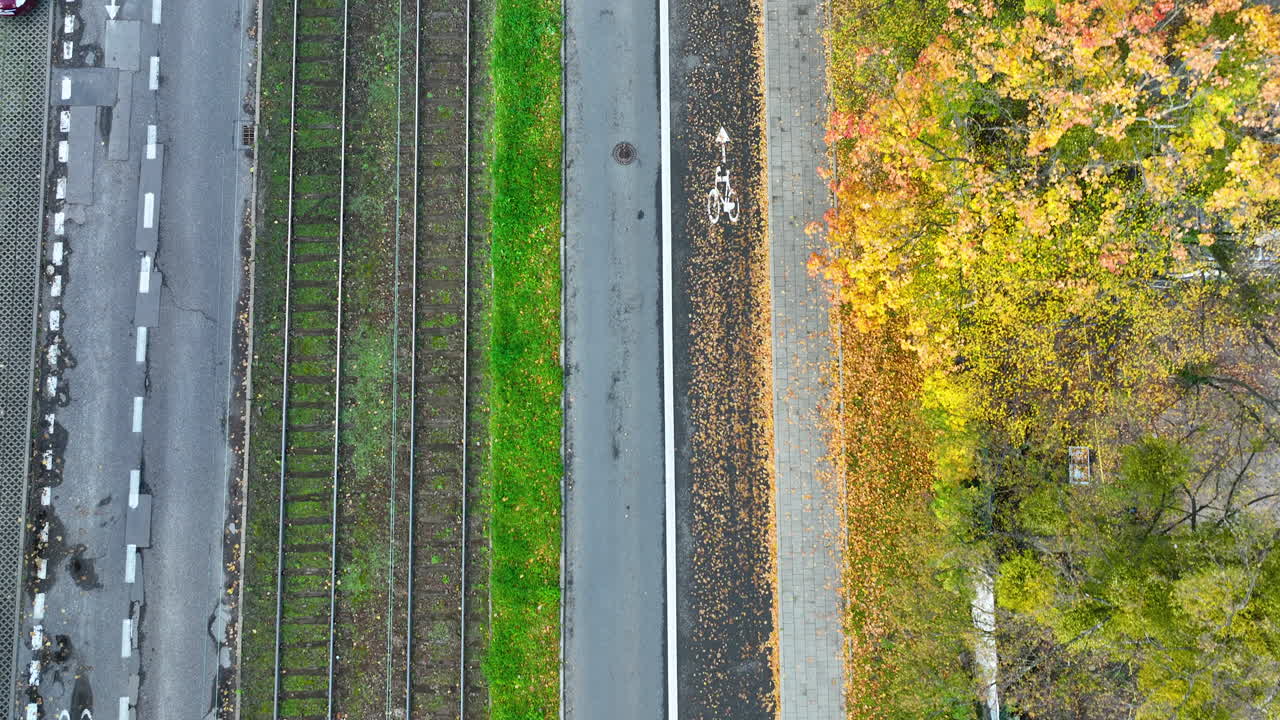 Drone footage of tramway and road with autumn trees, showing sustainable urban transport design in Gdańsk