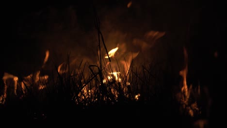 Incendio-Forestal-En-La-Noche