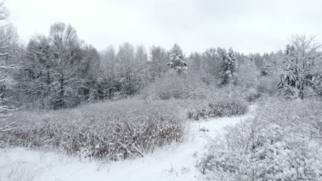Luftkamera-Von-Winterlandschaftsbäumen-Im-Schnee-Kamera-In-Geringer-Höhe