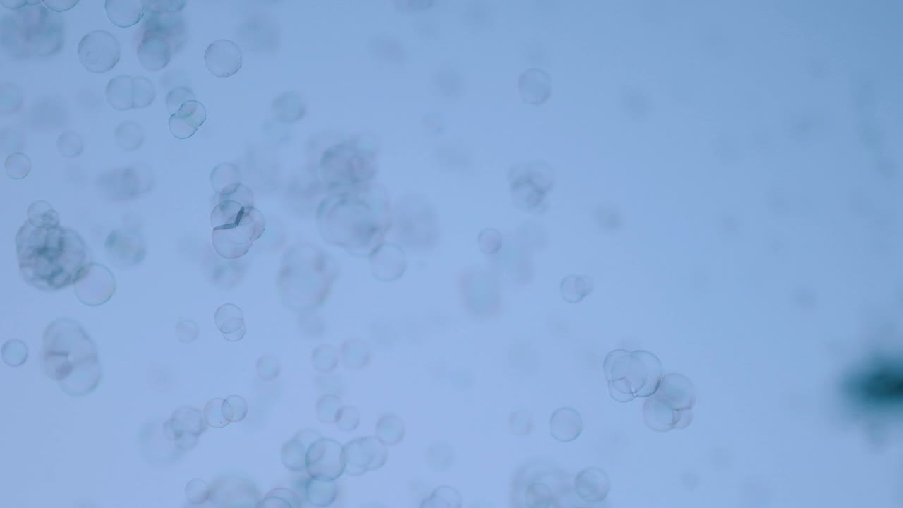burbujas de jabón divertidas revolotean sobre un fondo azul