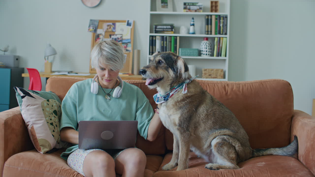 Woman Sitting on Sofa, Using Laptop and Petting Dog in Living Room