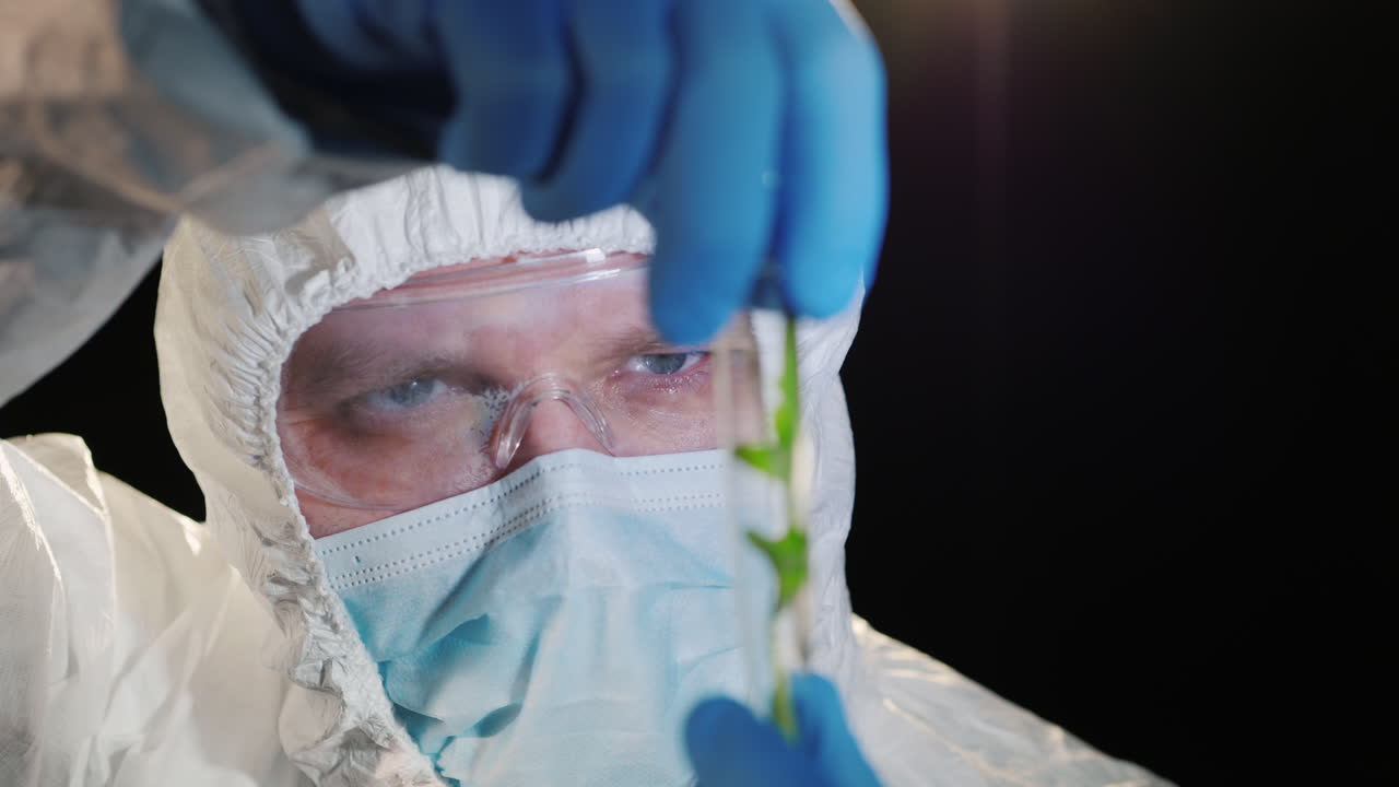 un investigador mirando de cerca un tubo de ensayo con una planta verde 2