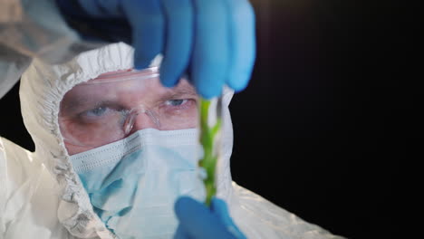 un investigador mirando de cerca un tubo de ensayo con una planta verde 2