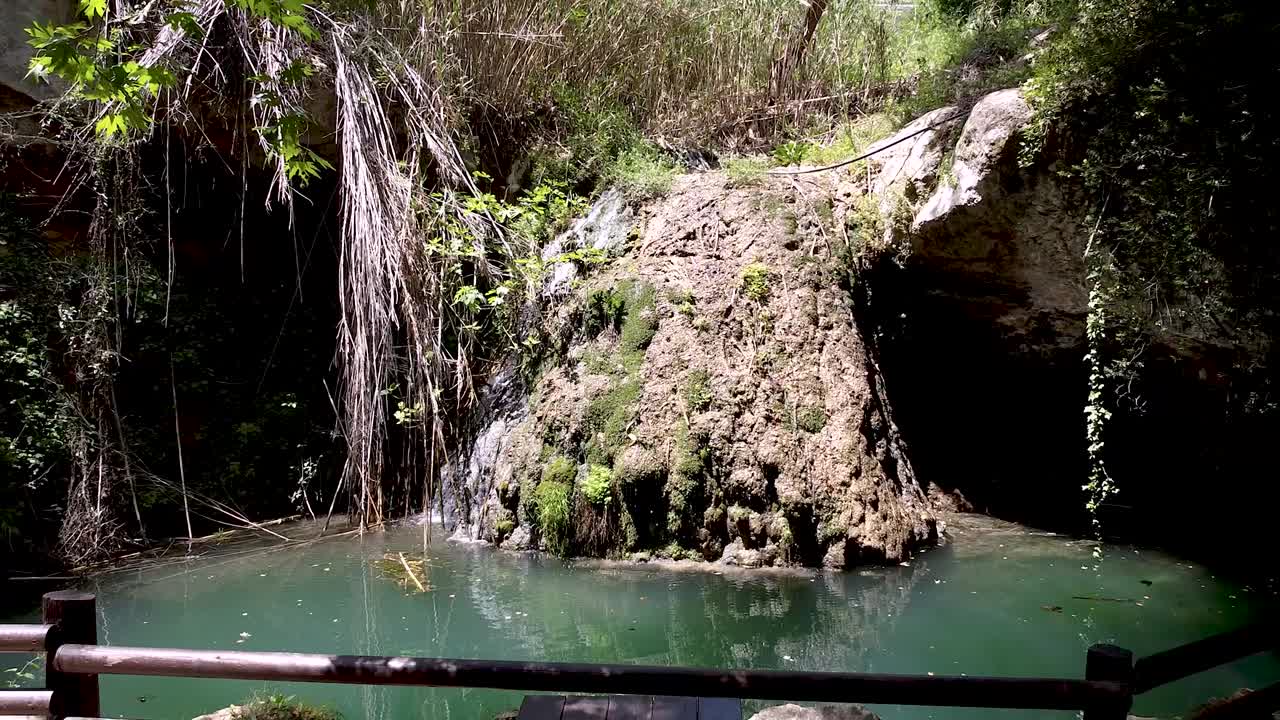 In questo tranquillo angolo di natura, un fitto muschio ricopre la superficie rocciosa accanto a un ruscello leggero. La luce del sole filtra tra gli alberi, intensificando l'atmosfera serena.