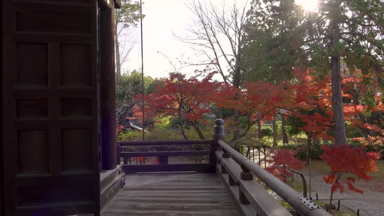 caminando por los hermosos terrenos del templo en kyoto, japón durante el otoño