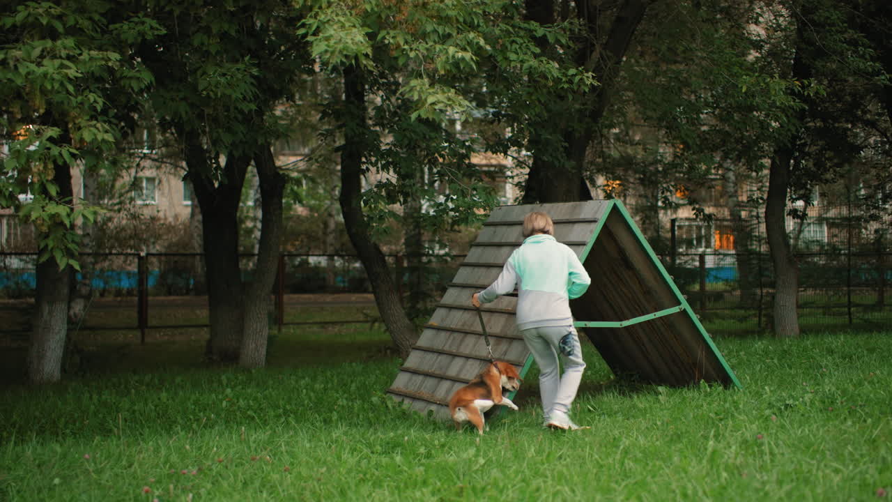 Trainer guiding dog on ladder challenge outdoors surrounded by trees demonstrating teamwork patience trust and skill development between handler and pet during natural training session