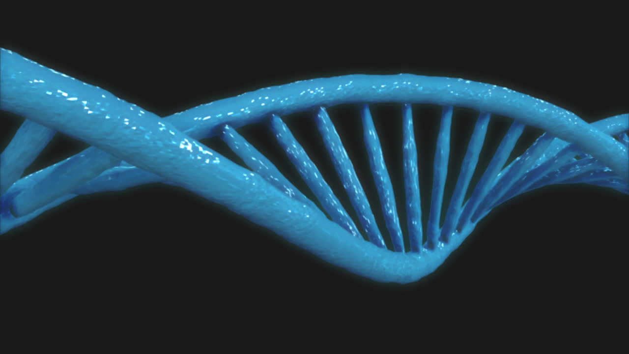 su composición molecular