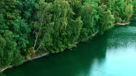drone view of trees at the turquoise lake