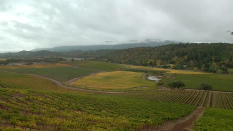 Aerial-view-over-vineyards-in-Napa-valley-in-California