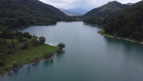 aerial ascending and panning shot of the beautiful landscape of forests and lakes in a natural ecosystem - paltinu of doftana valley in romania