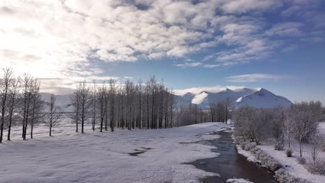 snowy trees and a winding stream lead toward snow-covered mountains in borgarfjörður, iceland.