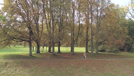 two mature women walking on a park path, brown and yellow leaves scatter the ground, aerial dolly